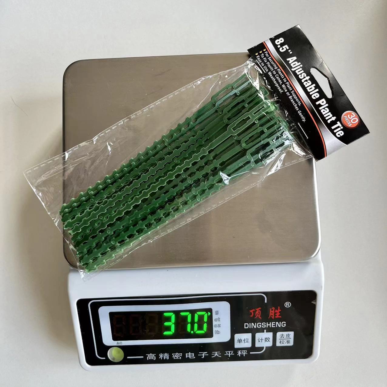 Fishbone Ribbon Green Plastic Garden Vine Strap